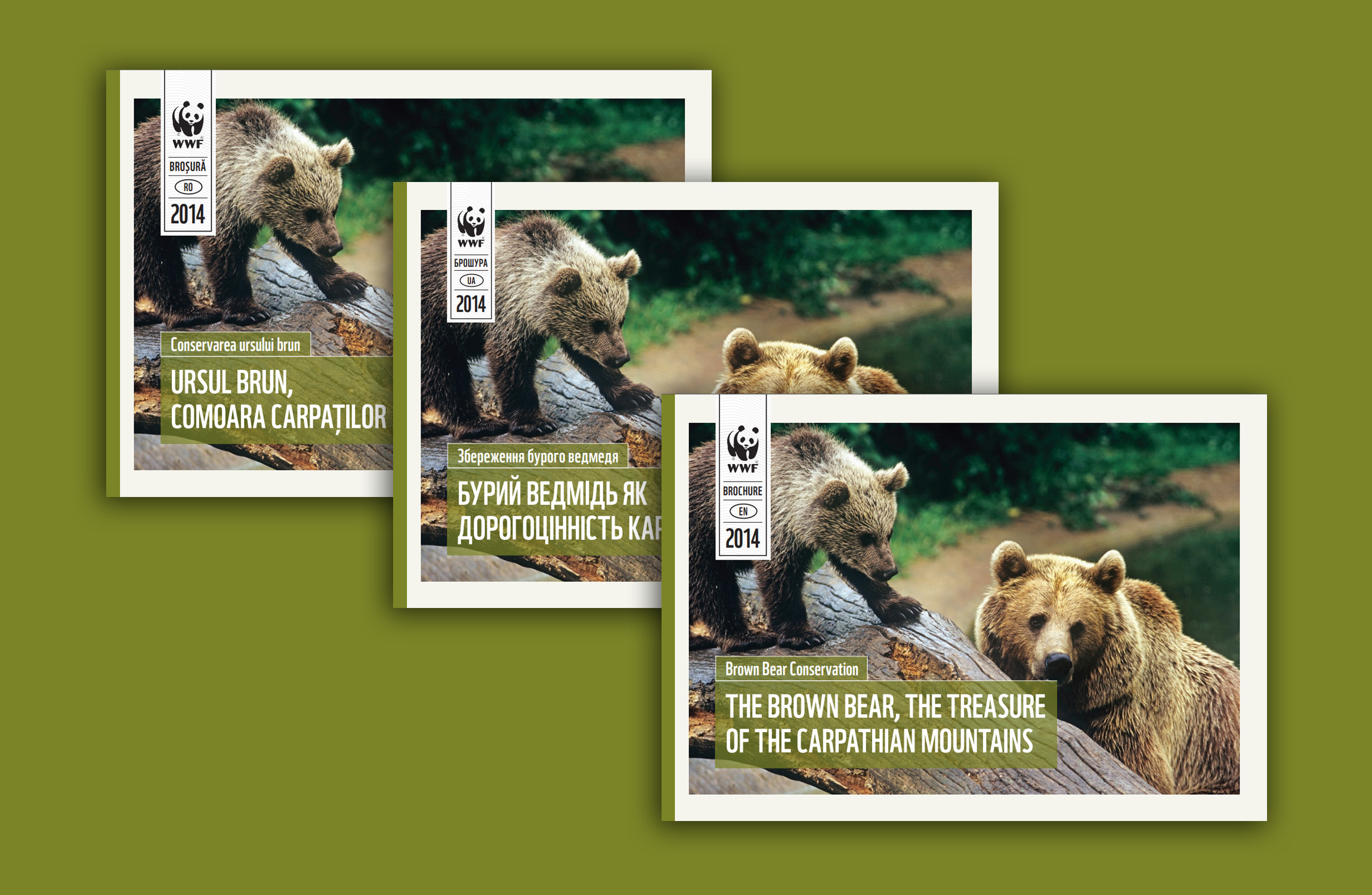 open-borders-for-bears-Brosuri